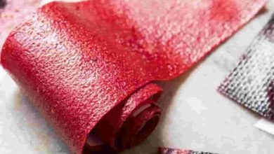 Keto Fruit Leather