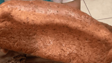 Yeast Risen Keto Bread